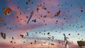 colorful sorrows
